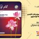 سبد خرید و پرداخت
