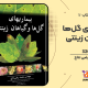 دانلود کتاب استراتژی های حل مساله جلد 2 اثر آرتور انگل